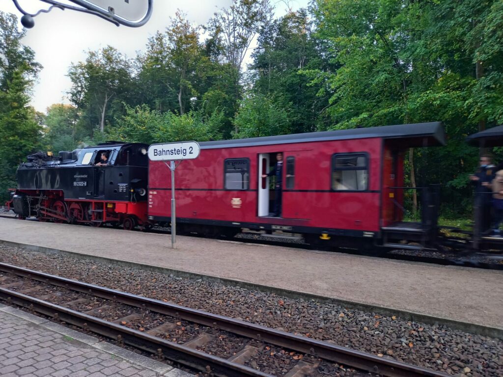 Dampflokomotive Molli in Doberan