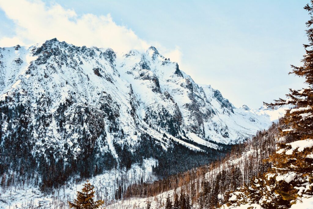 Gebirge in der Slowakei schneebedeckt