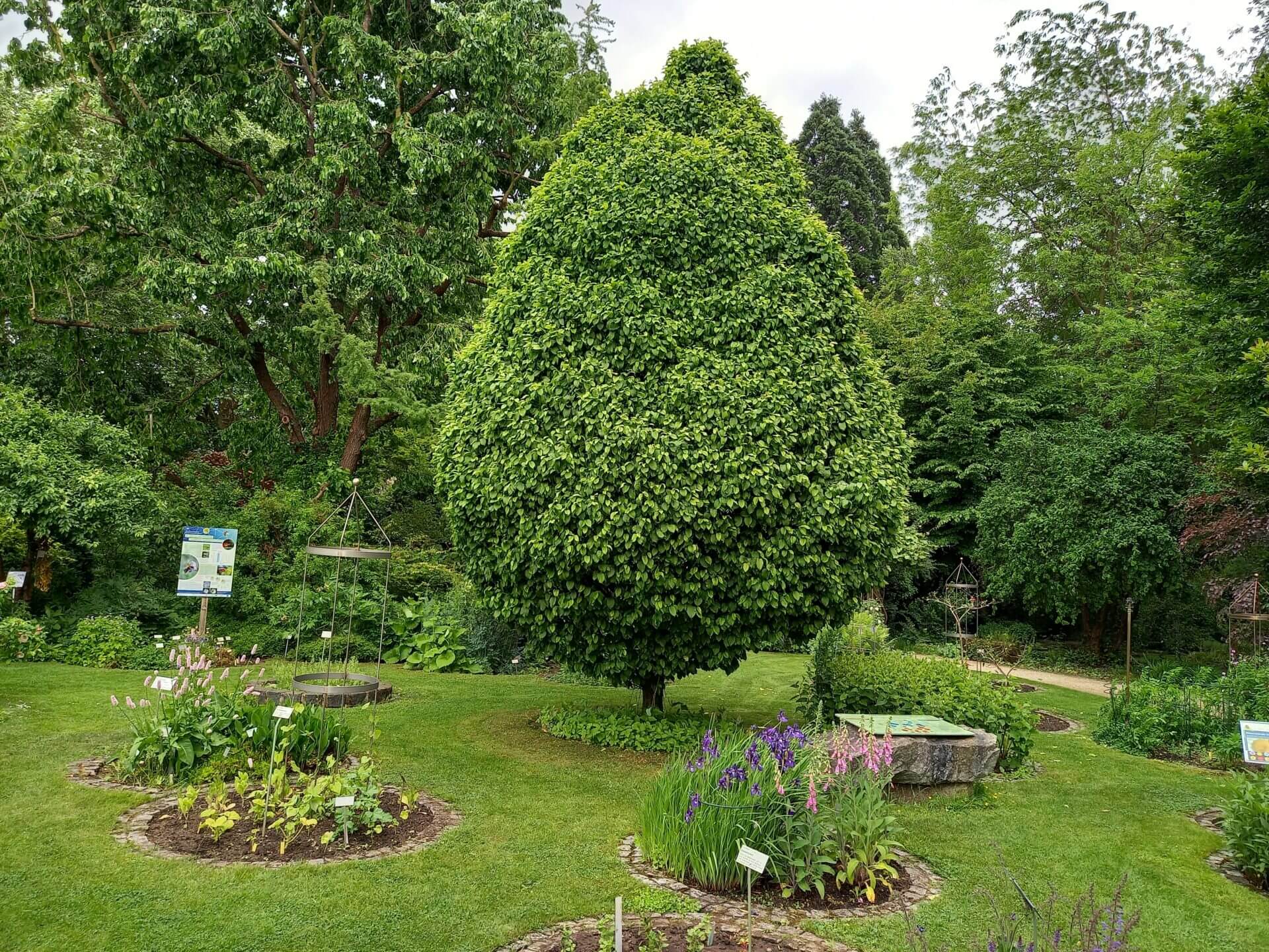 ERLANGEN BOTANISCHER GARTEN NORDISCHES REISEFIEBER