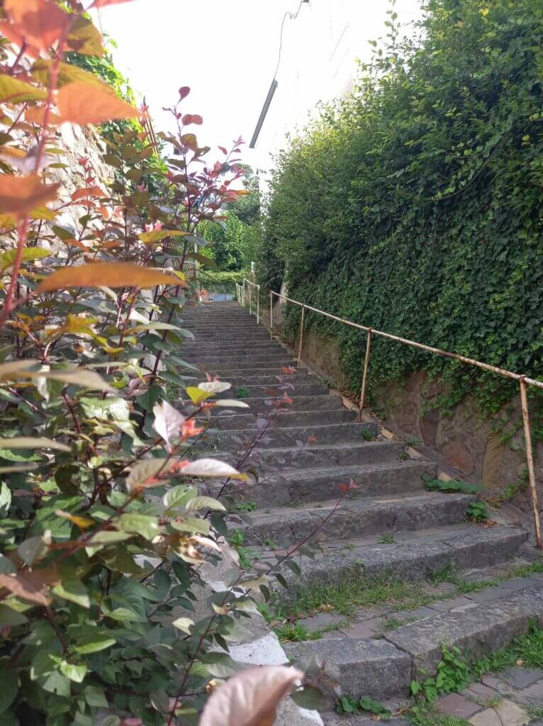 steile Treppe am Süllberg
