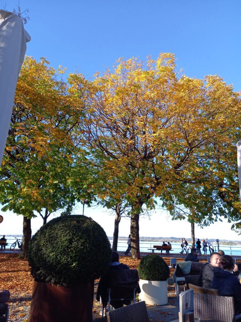 Cafe am Bodensee