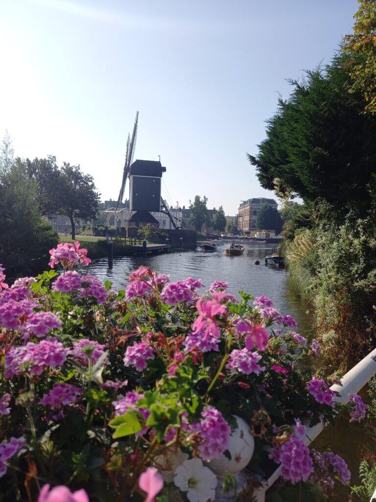 Windmühle in Leiden