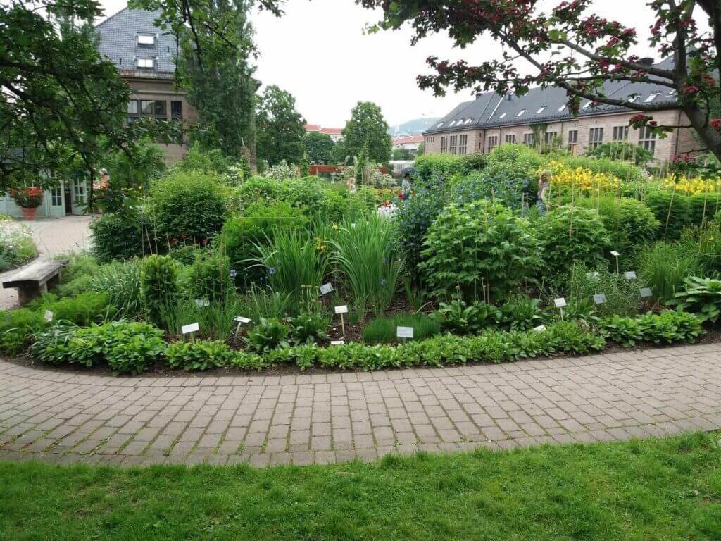 Oslo Botanischer Garten