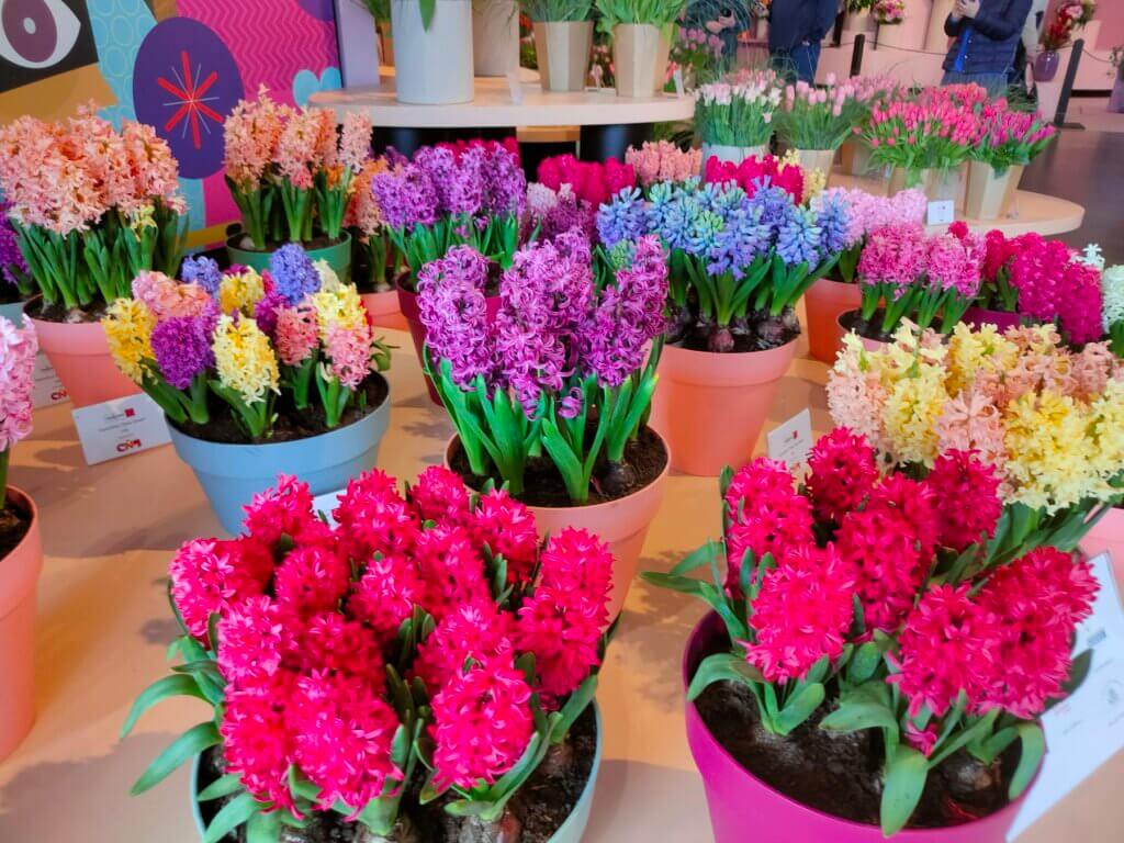 keukenhof