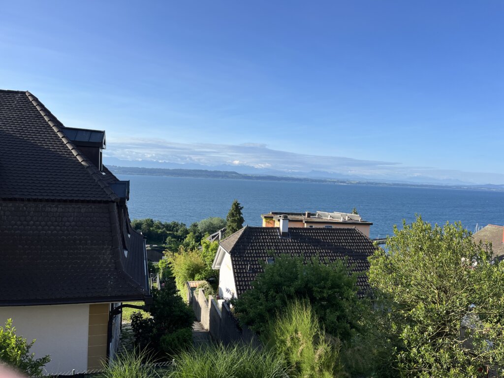 Blick auf den Neuenburger See