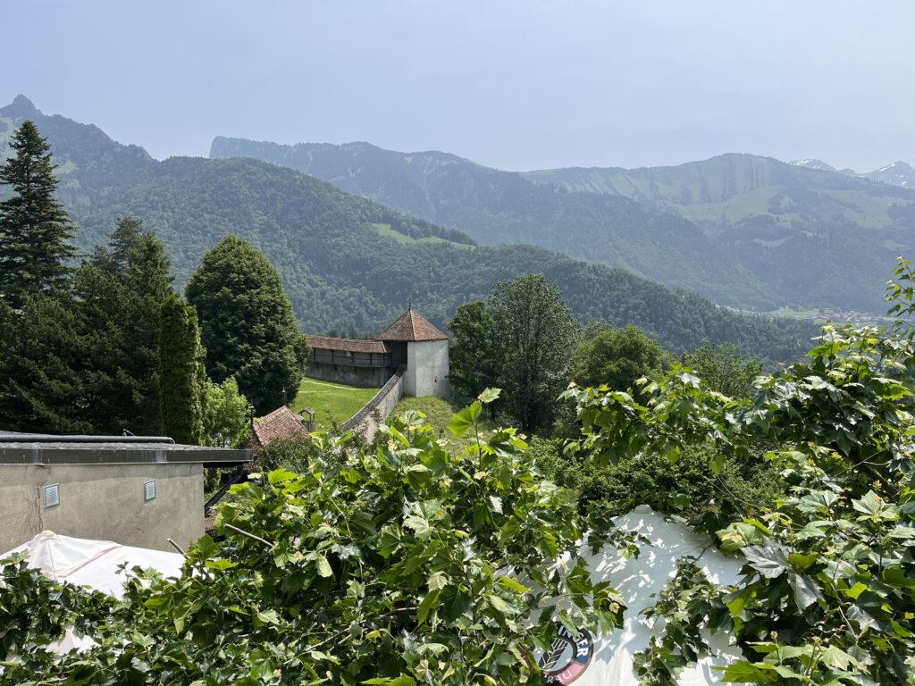 Gryere Blick auf die Umgebung