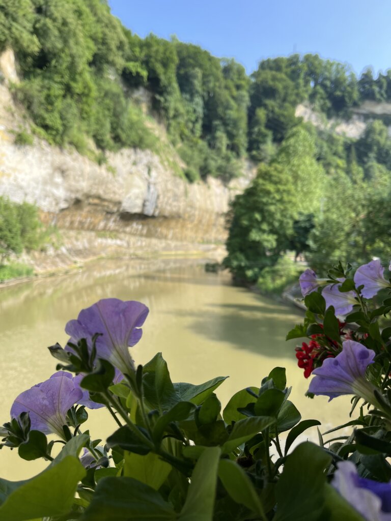Blick von der Oberstadt auf den Fluss